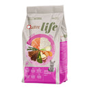 QUATREE LIFE GATOS FILHOTES 1KG